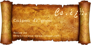 Csipes Ágnes névjegykártya